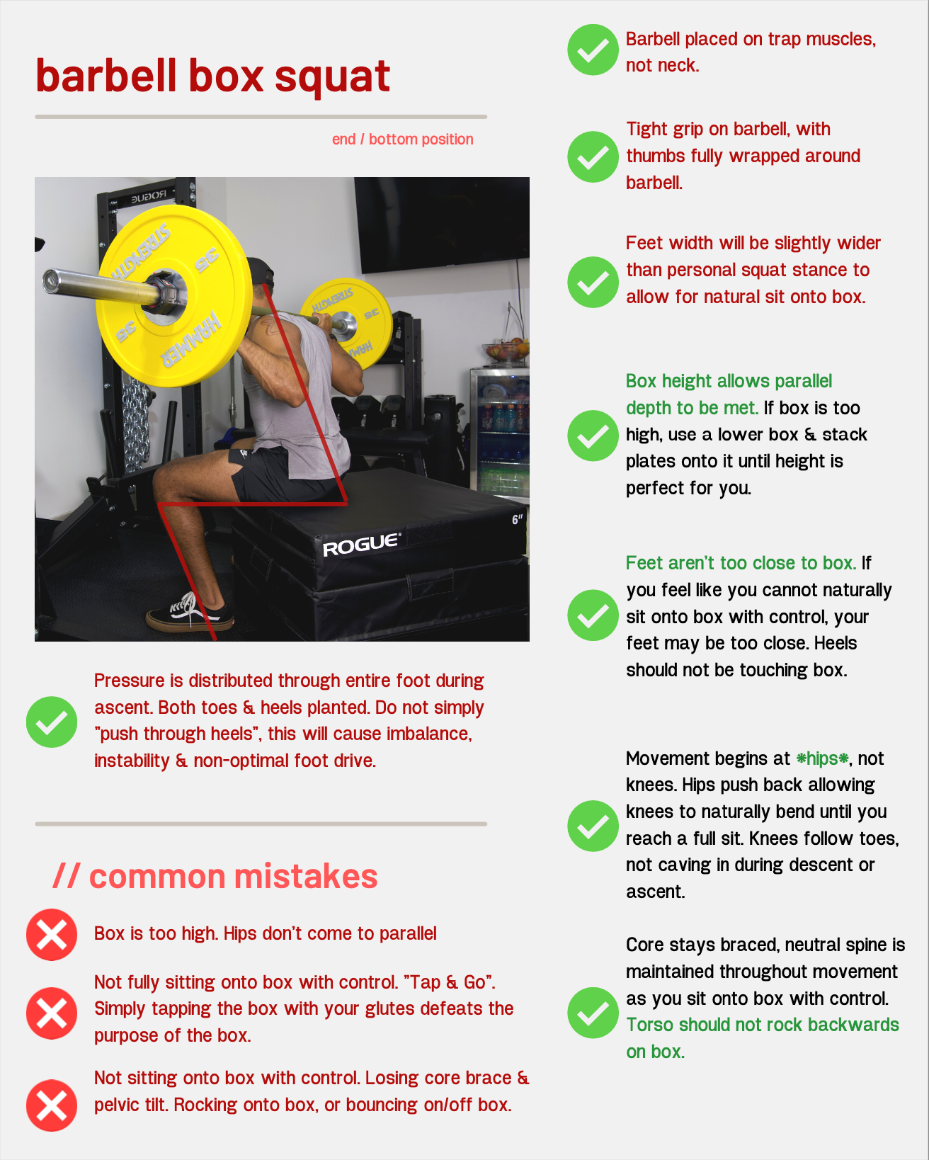 Elite Shred: 8 Weeks