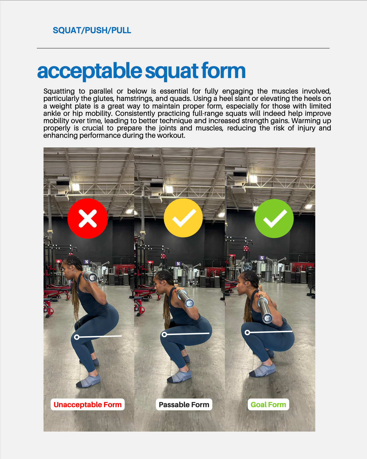 Squat Push Pull: 12 Weeks